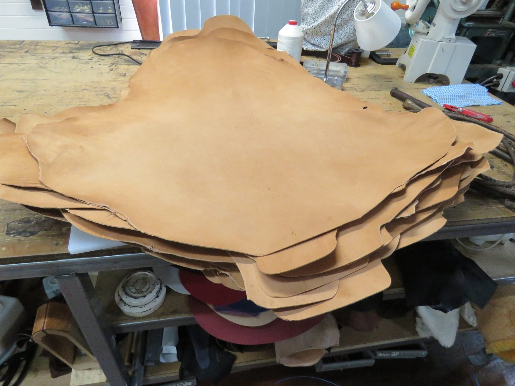 VEGETABLE TANNED Kangaroo leather 750 mm x 800 mm CLOTTED CREAM 
